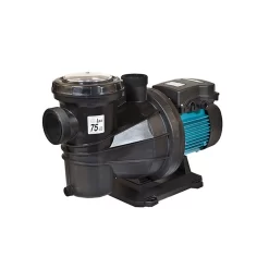 Pompe De Piscine Silver 12 M Espa