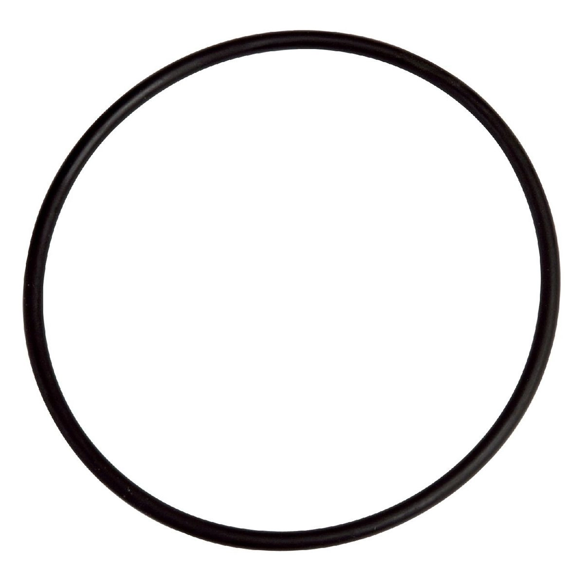 Joint De Dome De Filtre Filclar AM Astral 1 Joint De Dome De Filtre Filclar AM Astral